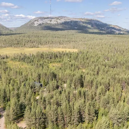 Taiga * Pyhätunturi